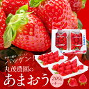 【ふるさと納税】【2026年2月より順次発送】丸茂農園の福岡県産あま